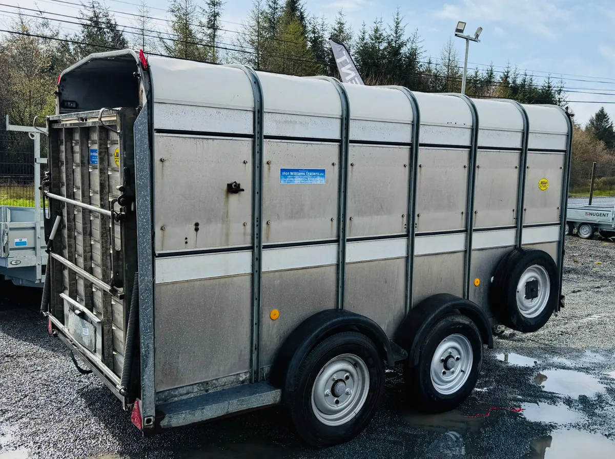 Ifor Williams 12x6 sheep Trailer - Image 2
