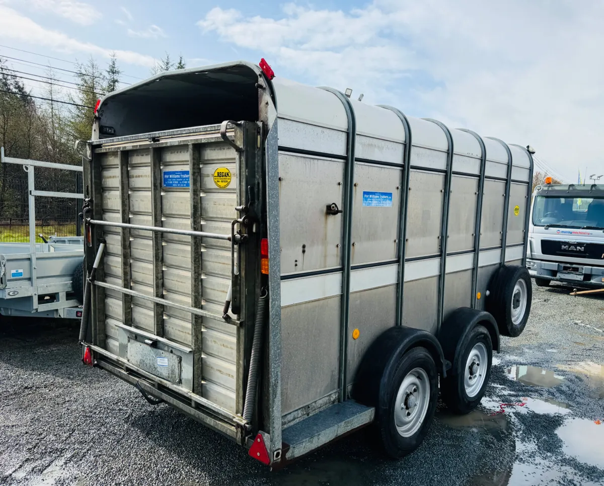 Ifor Williams 12x6 sheep Trailer - Image 4