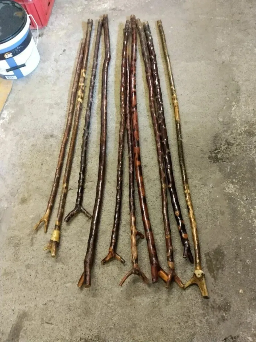 10. BLACKTHORN RAMBLING STICKS - Image 1