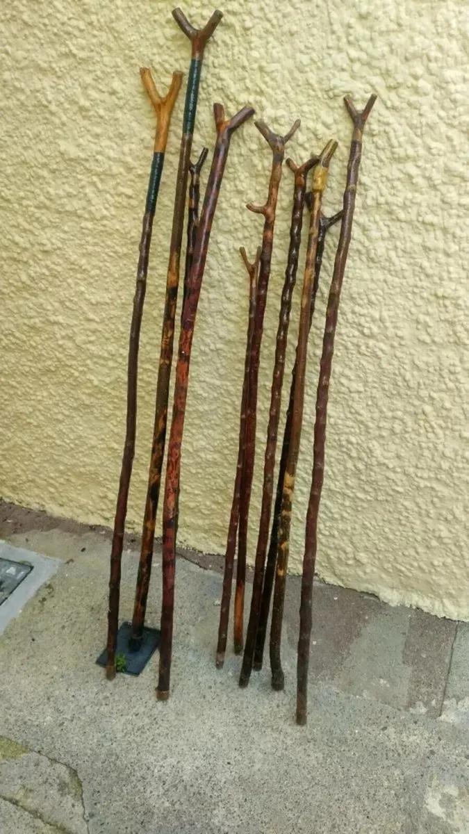 10. BLACKTHORN RAMBLING STICKS - Image 2