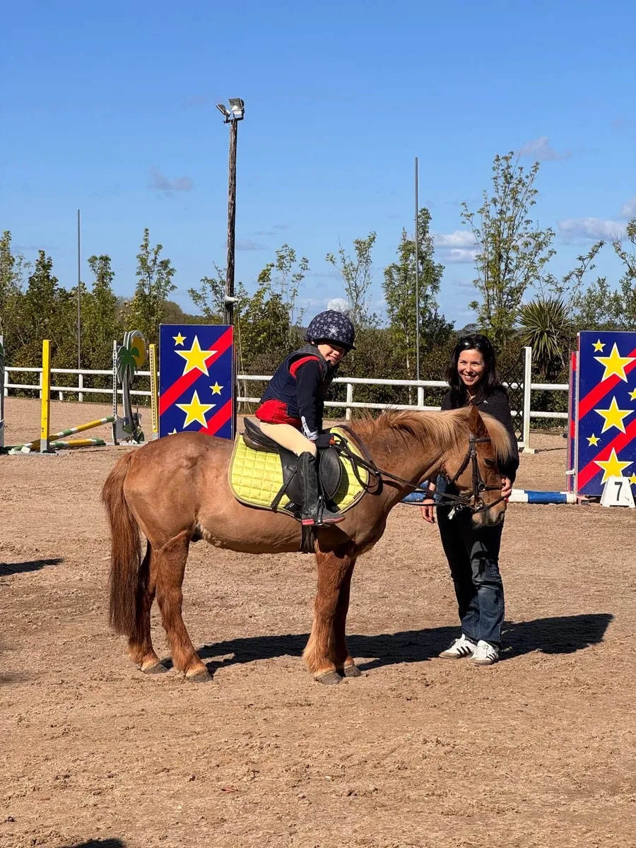 ** 11.2h Super Starter Pony, on & off the lead** - Image 4