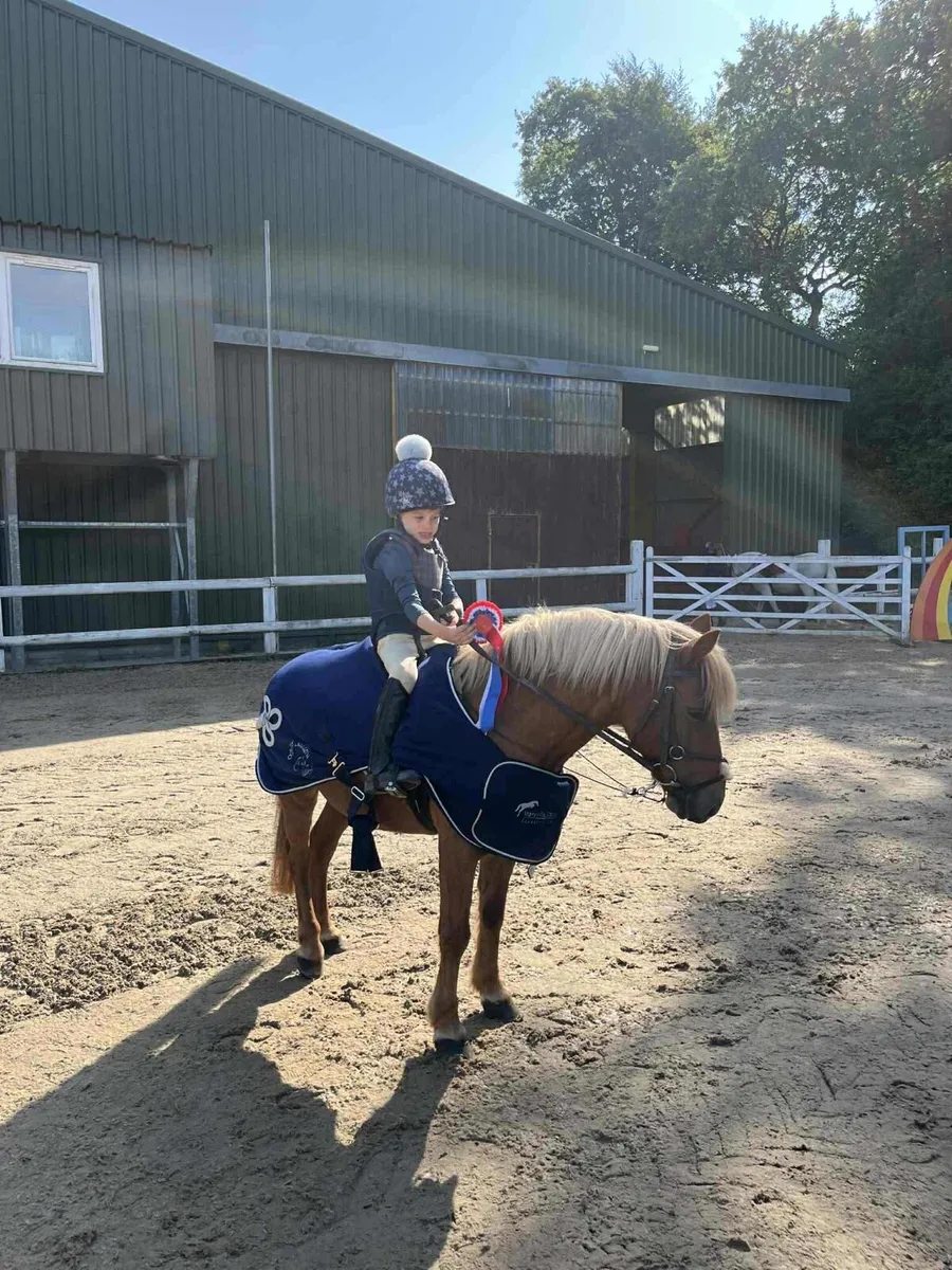 ** 11.2h Super Starter Pony, on & off the lead** - Image 1