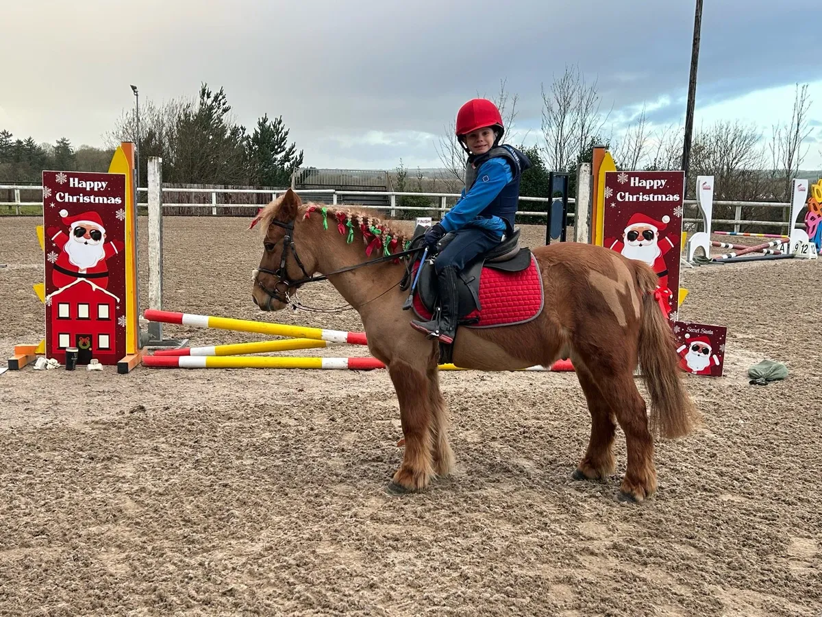 ** 11.2h Super Starter Pony, on & off the lead** - Image 2