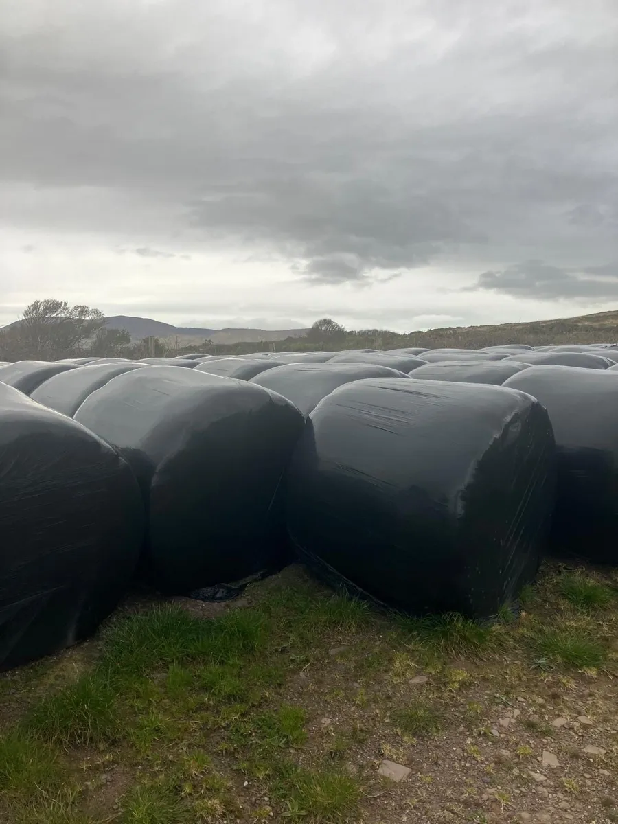 Hayledge & Silage - Image 1