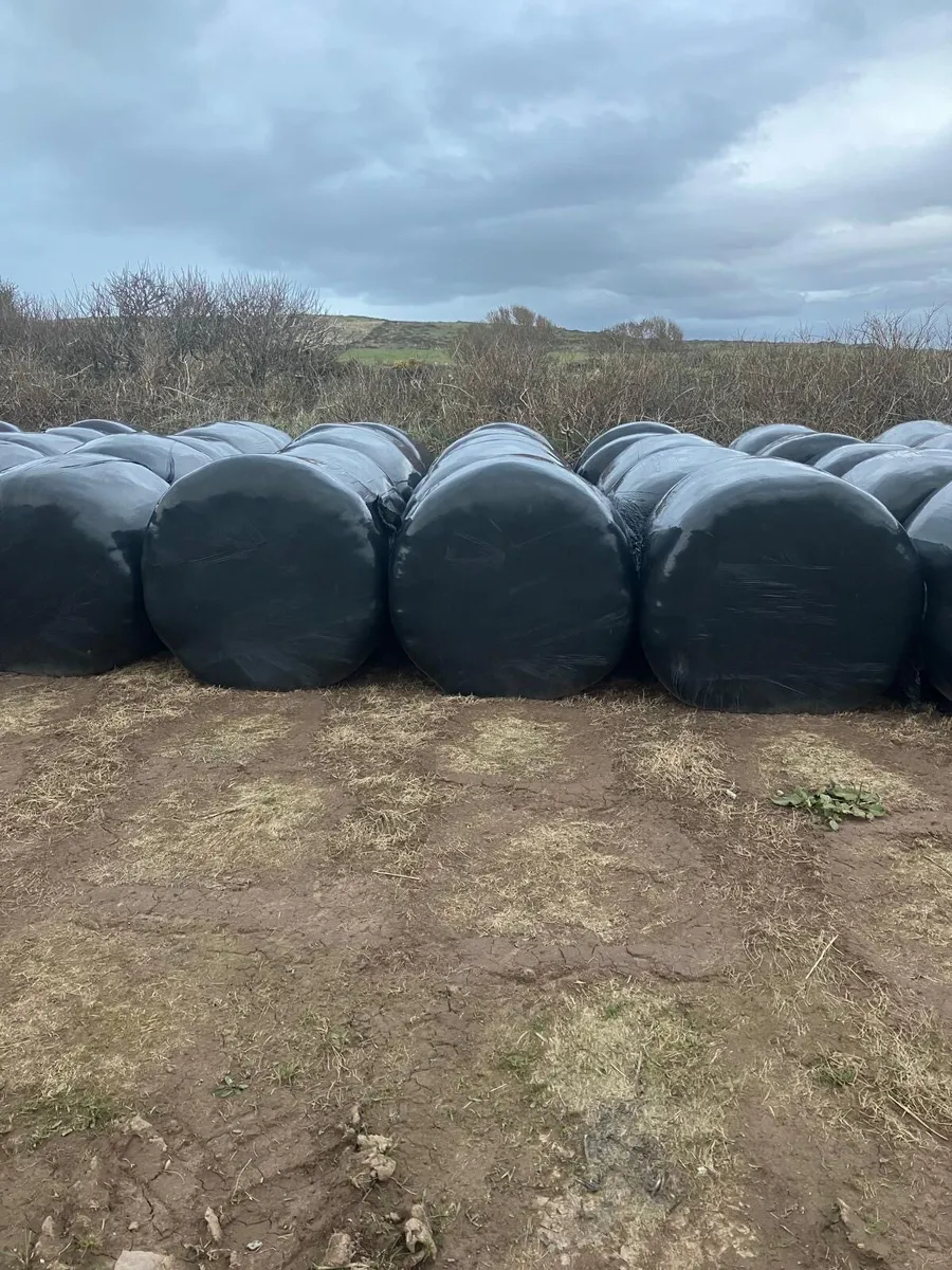 Hayledge & Silage - Image 2