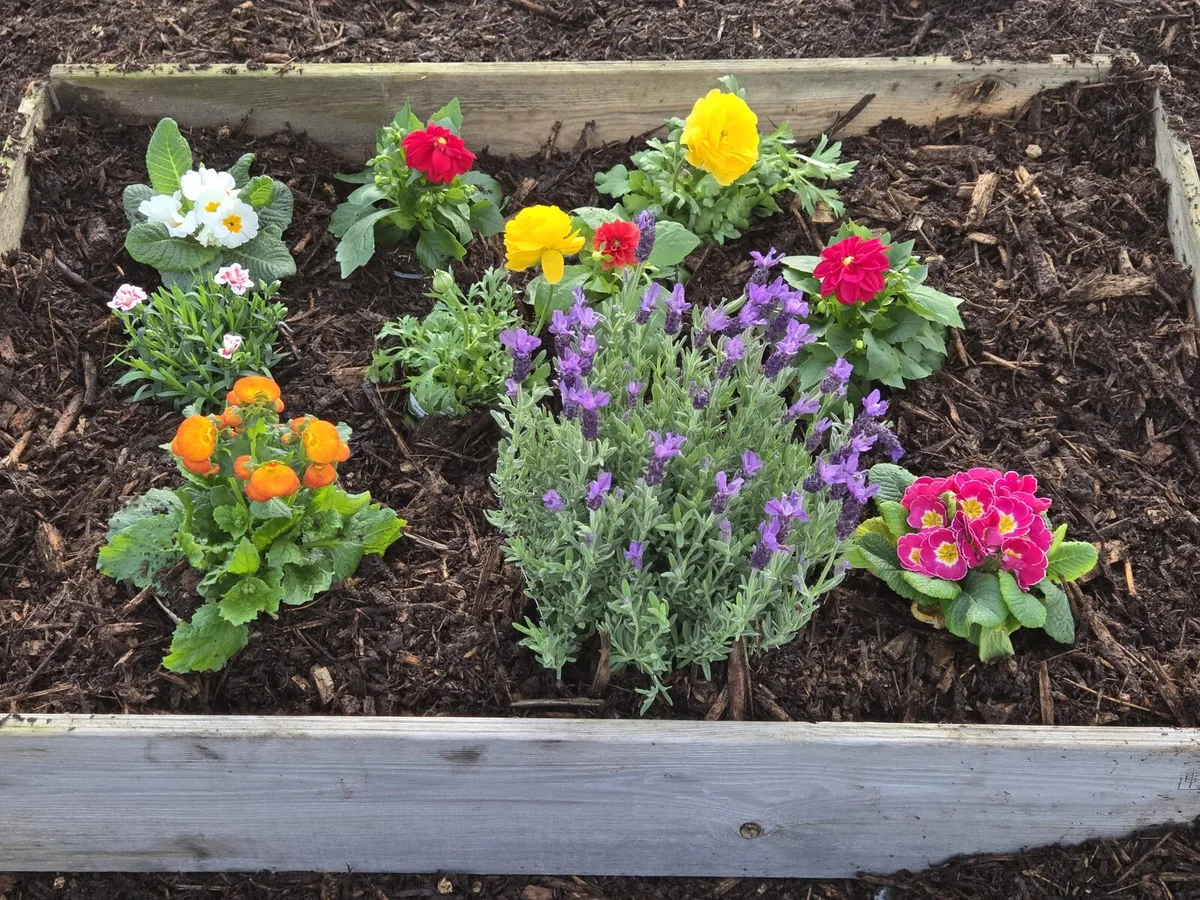 Garden Mulch - Image 3