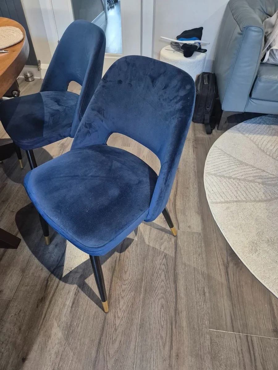 Dining Chairs - Image 1