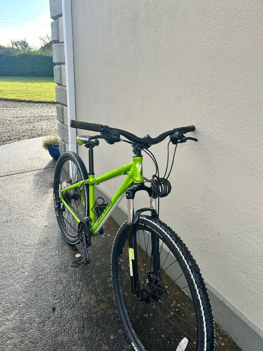 Mountain Bike - Image 1