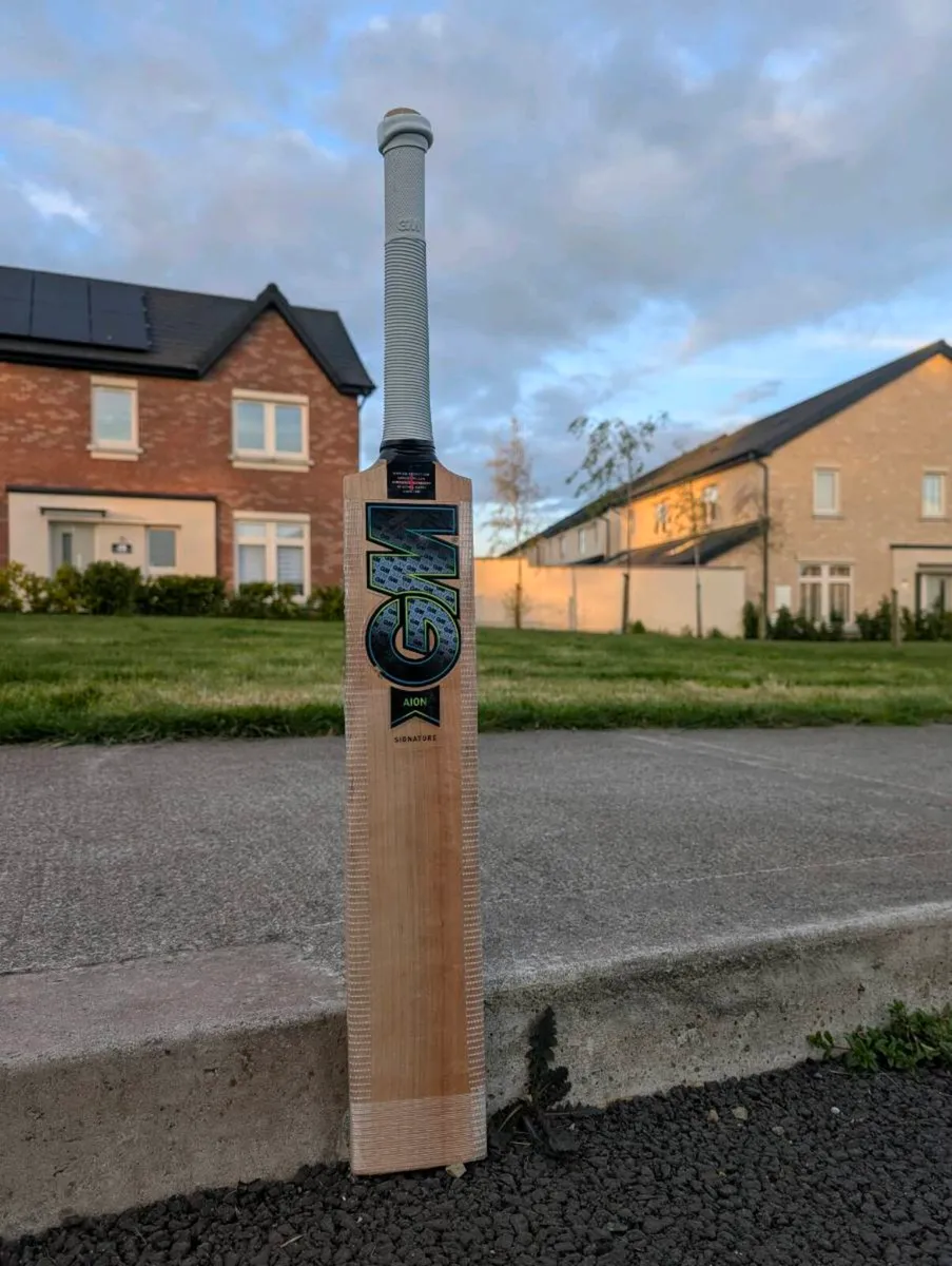 GM AION signature cricket bat - Image 1