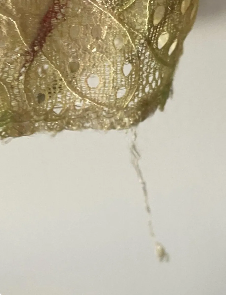 Ladies Top - Image 2