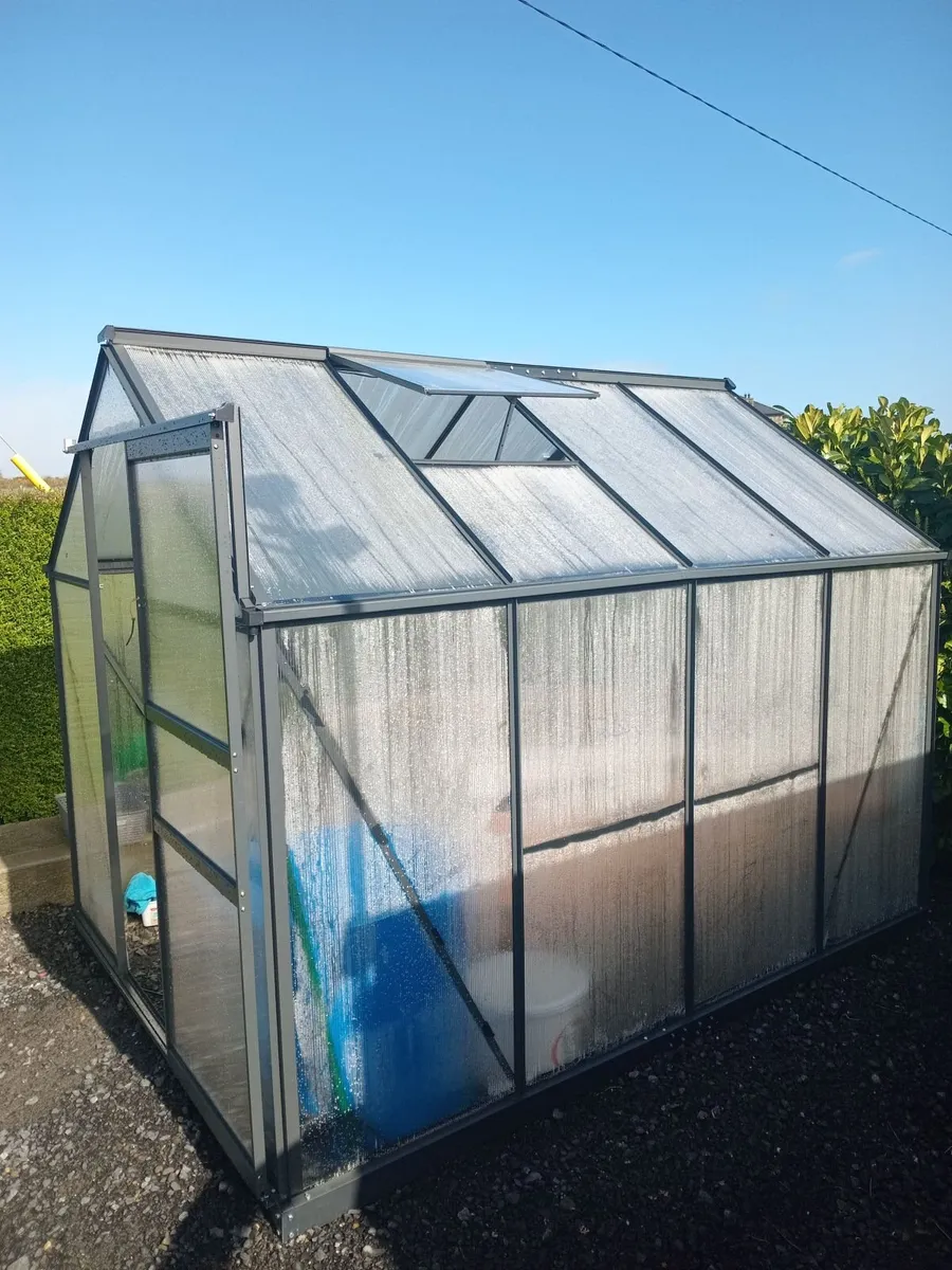 Poly tunnel.6ft x 8ft - Image 1