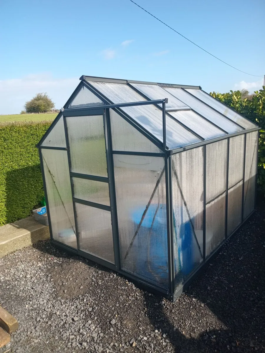 Poly tunnel.6ft x 8ft - Image 2