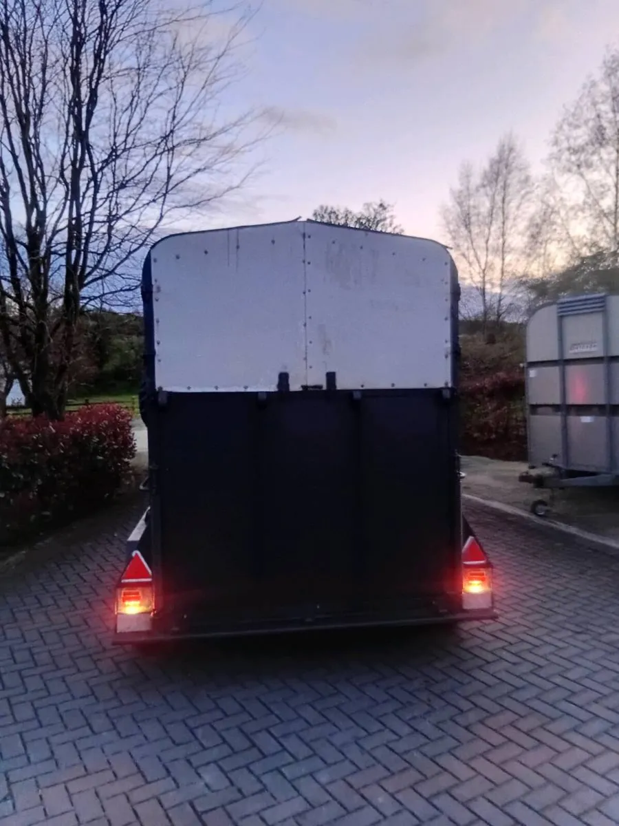 Horse box - Image 4