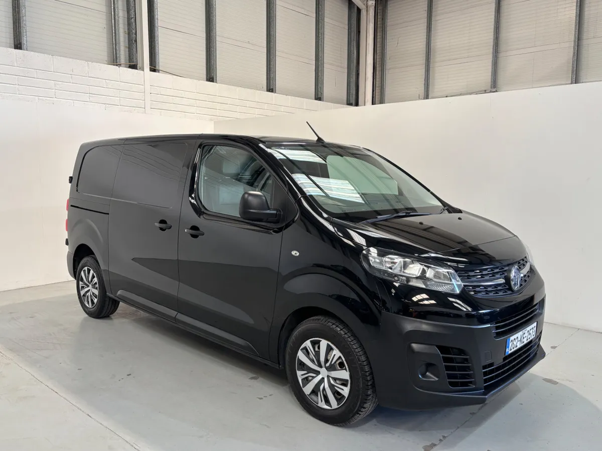 Vivaro 2900 L1 H1 Twin Door - Image 1