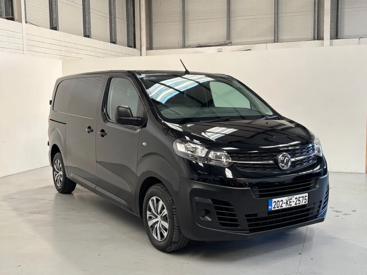 Vivaro 2900 L1 H1 Twin Door - Image 1