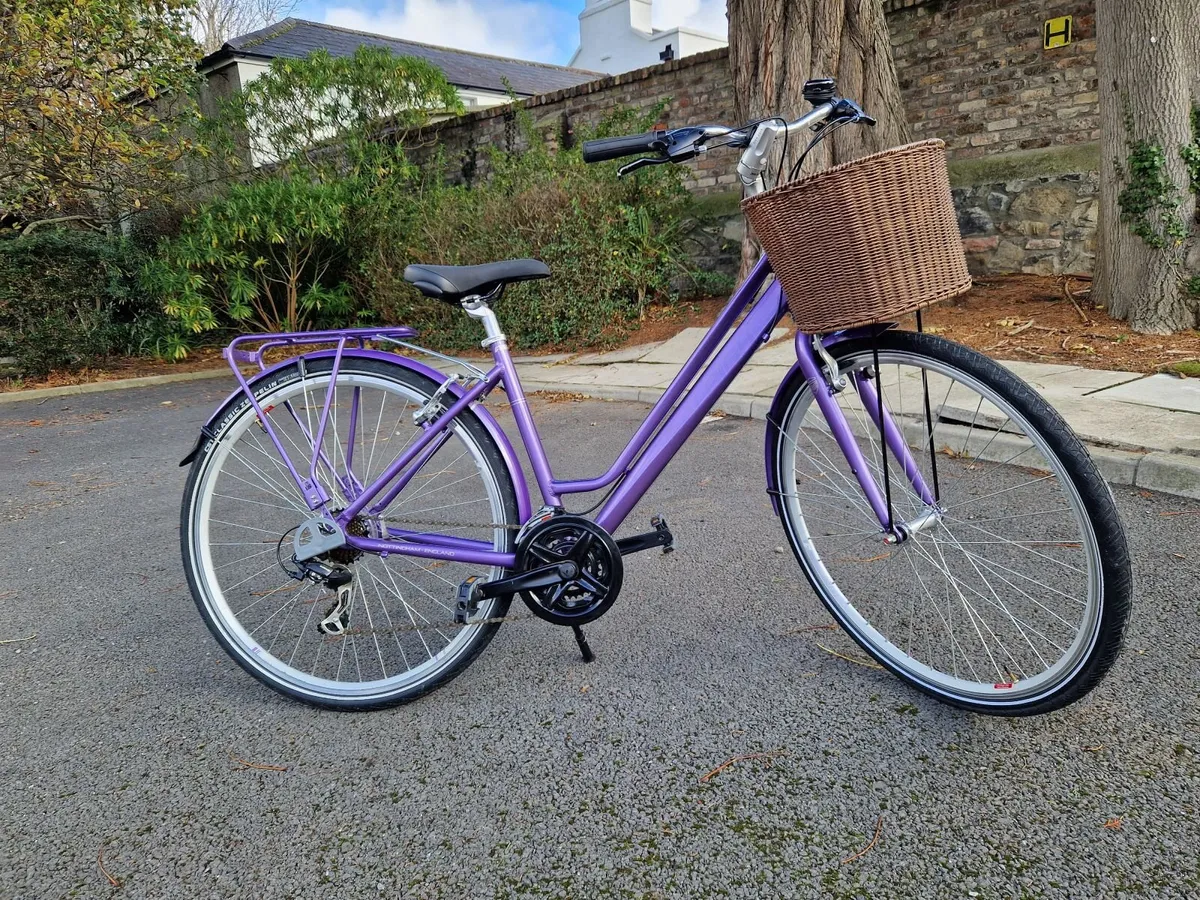 New Raleigh Pioneer Bike - Image 2