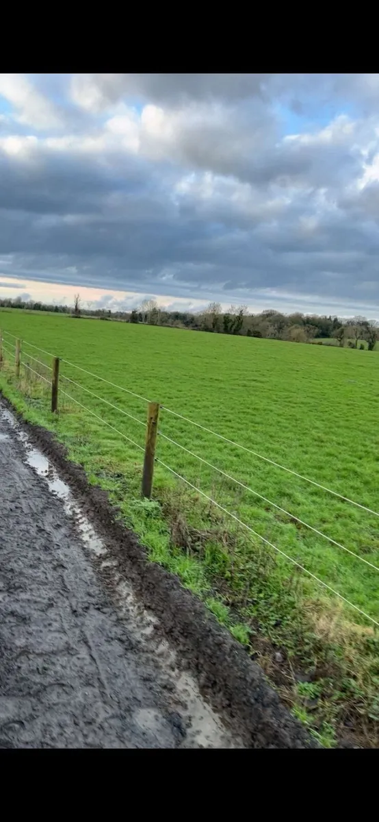 Grass livery - Image 1