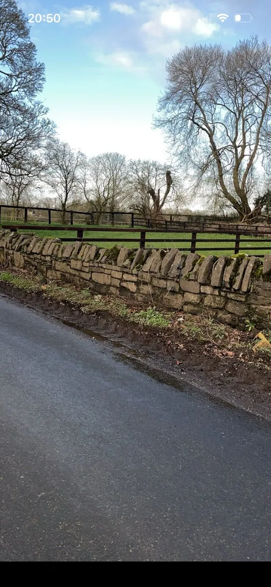 Grass livery - Image 2