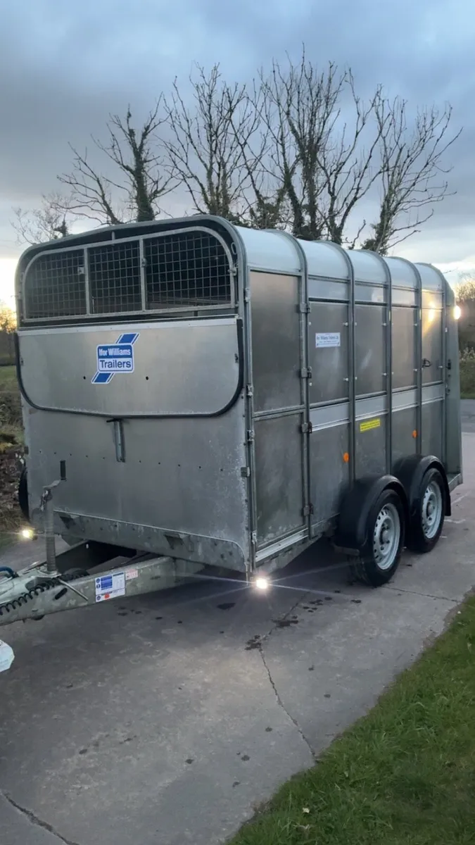 Ifor Williams 10x6 Cattle Trailer - Image 1