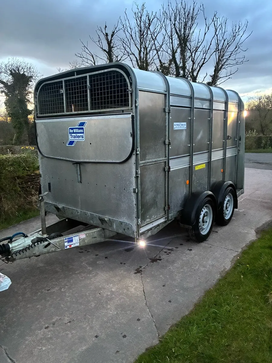 Ifor Williams 10x6 Cattle Trailer - Image 2
