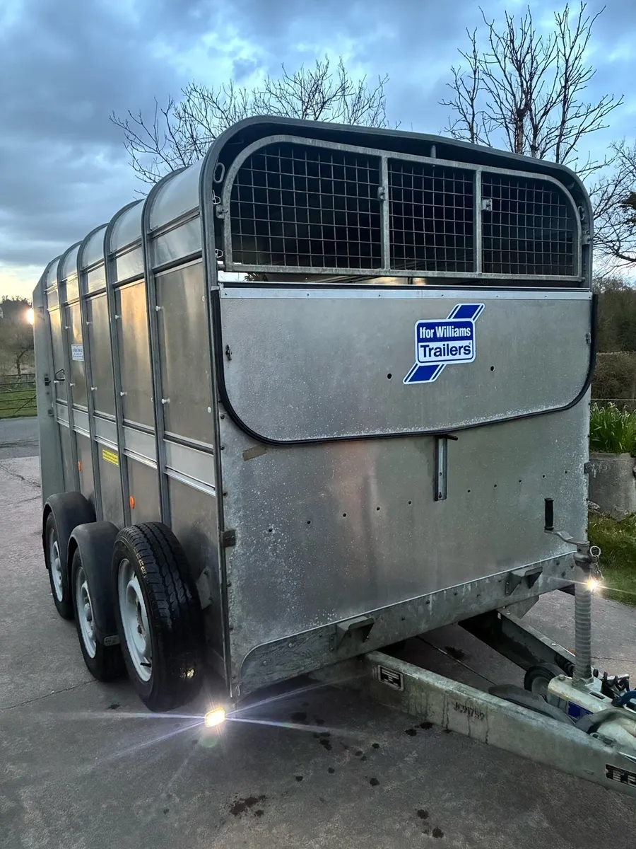 Ifor Williams 10x6 Cattle Trailer - Image 3