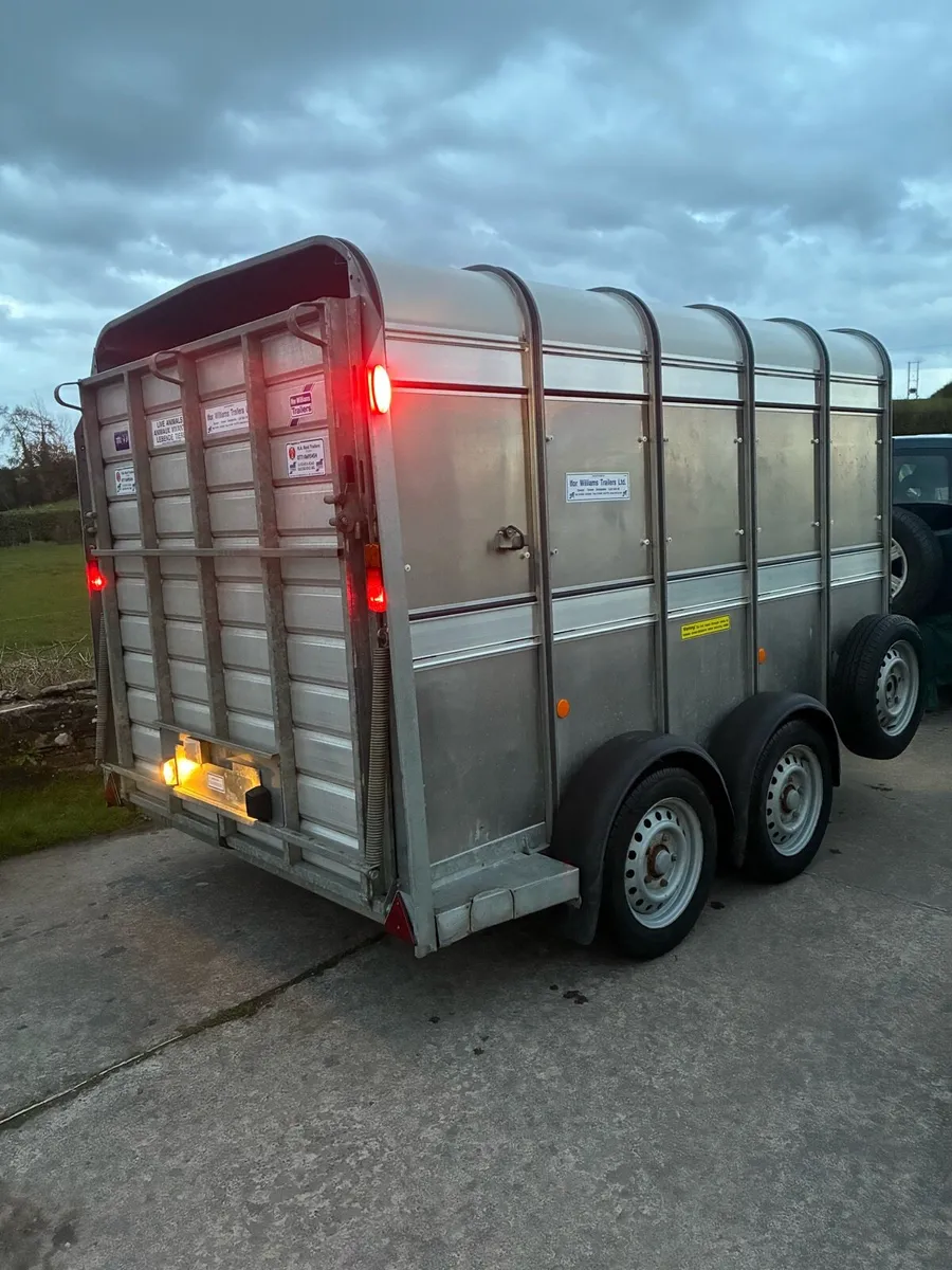 Ifor Williams 10x6 Cattle Trailer - Image 4