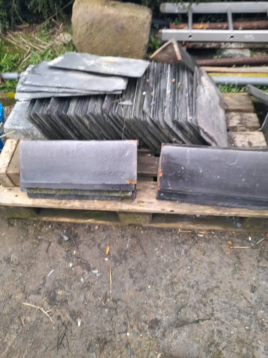 Old.roof.slates - Image 2