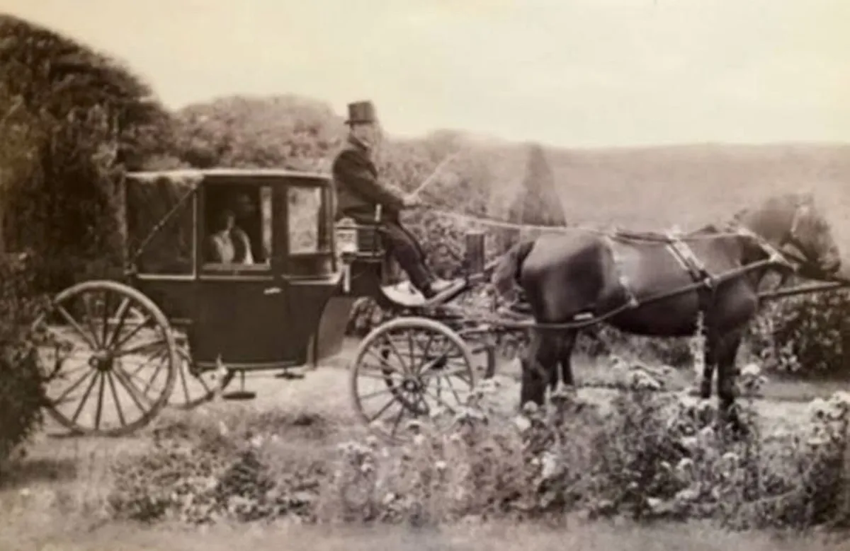 1903 Burlington Landaulette horse drawn carriage - Image 4