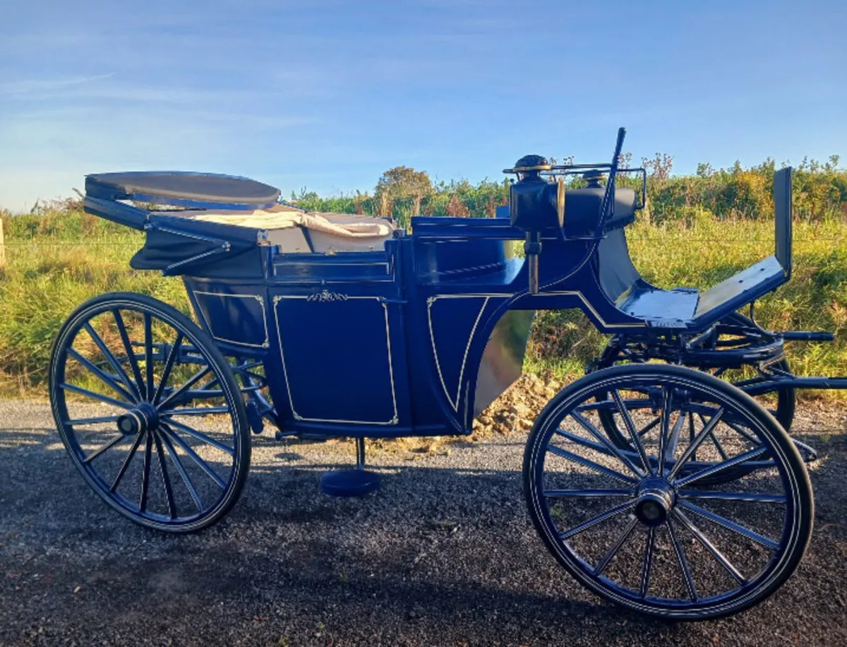 1903 Burlington Landaulette horse drawn carriage - Image 2