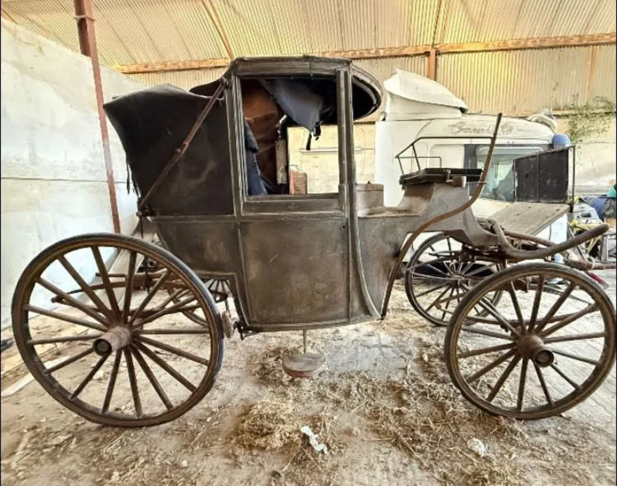 1903 Burlington Landaulette horse drawn carriage - Image 3