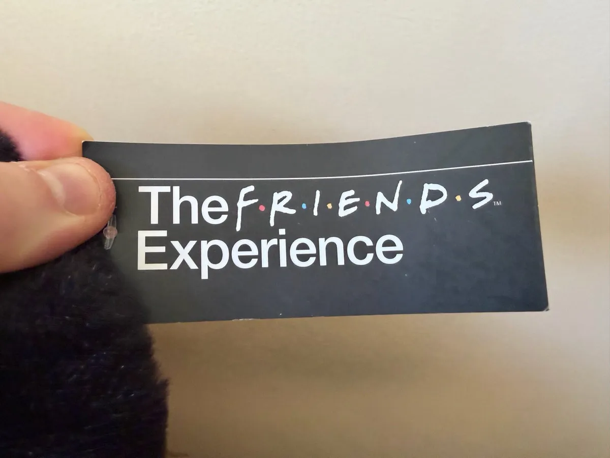Friends Hugsy Plush - “The Friends Experience” - Image 4