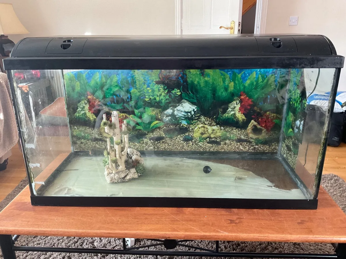 Fish Tanks - Image 1