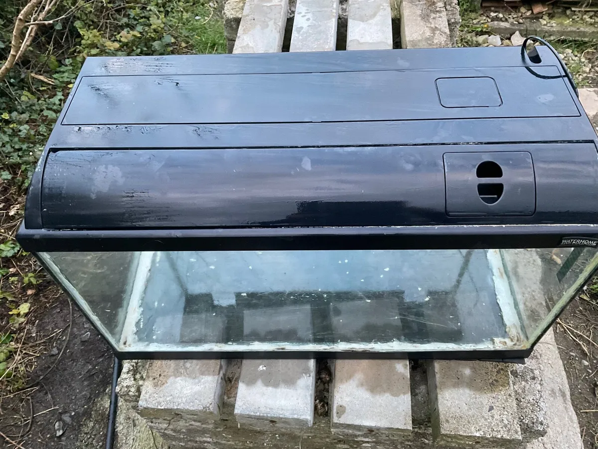 Fish Tanks - Image 2