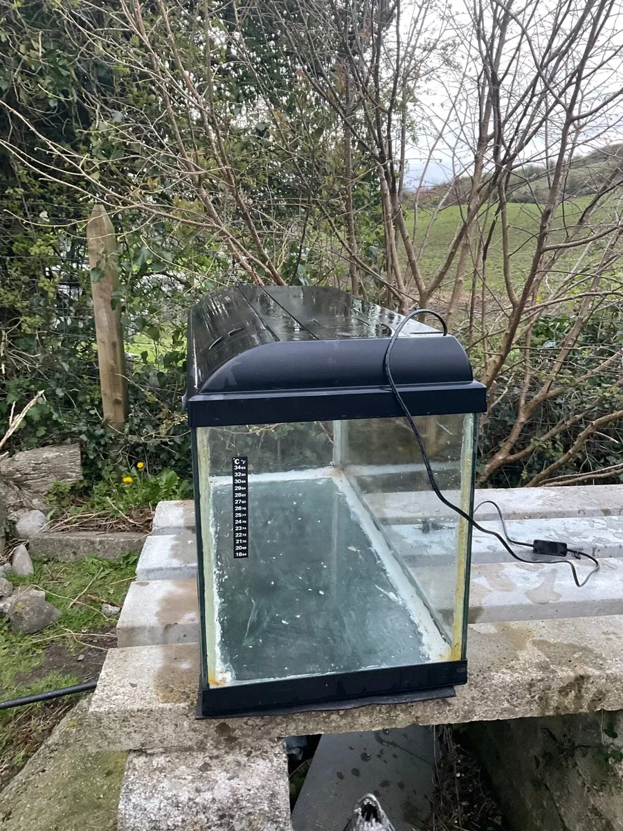 Fish Tanks - Image 3