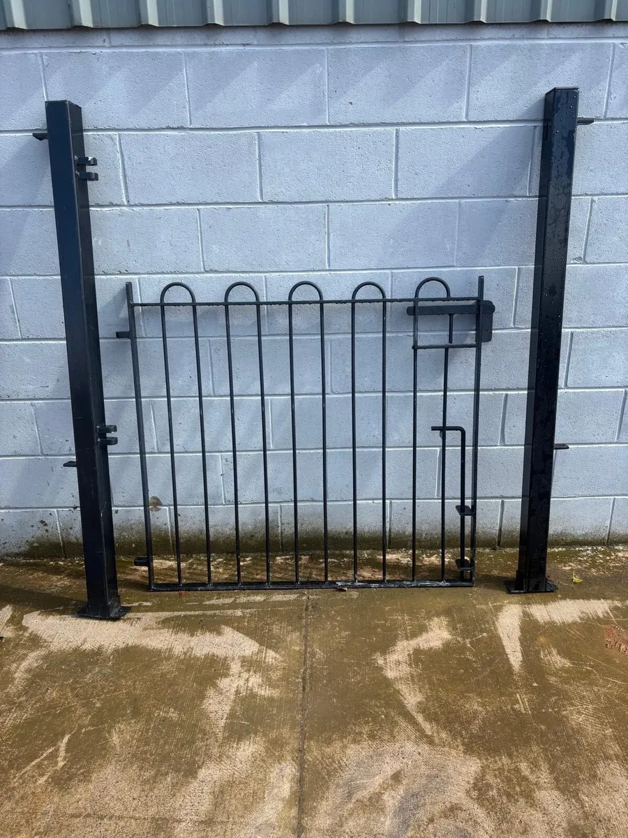 Bow top railings & gate - Image 1