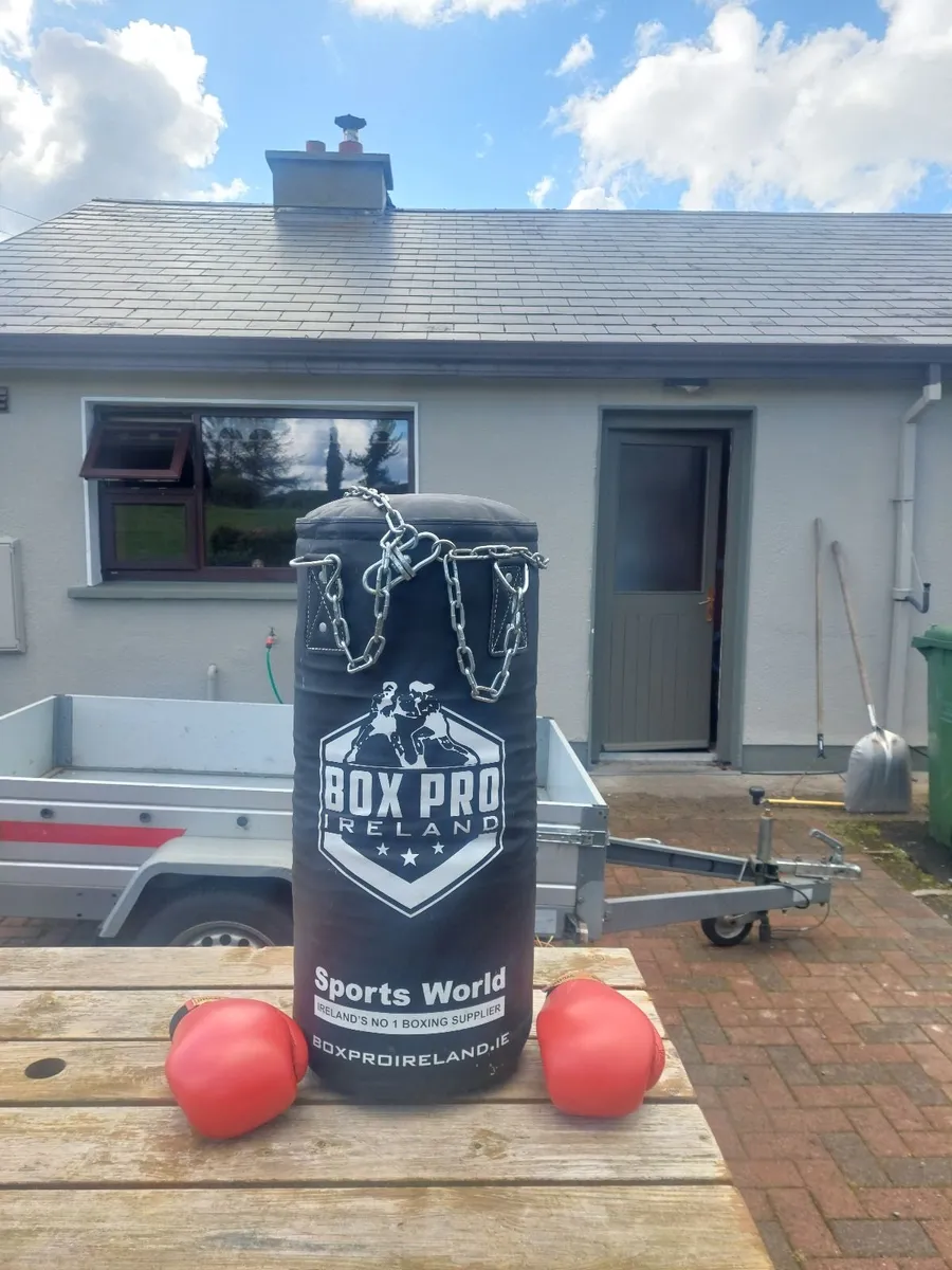 Heavy Punch Bag with chains - Image 2