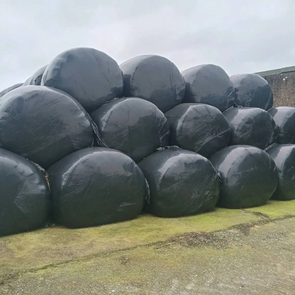 Top quality haylage