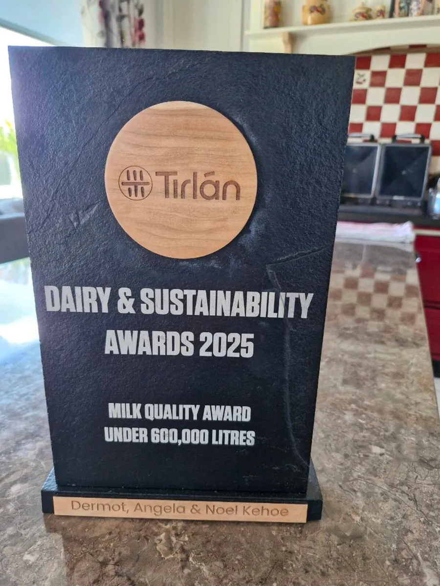 Included in this Friday's clearance sale 12 Fleckv - Image 4