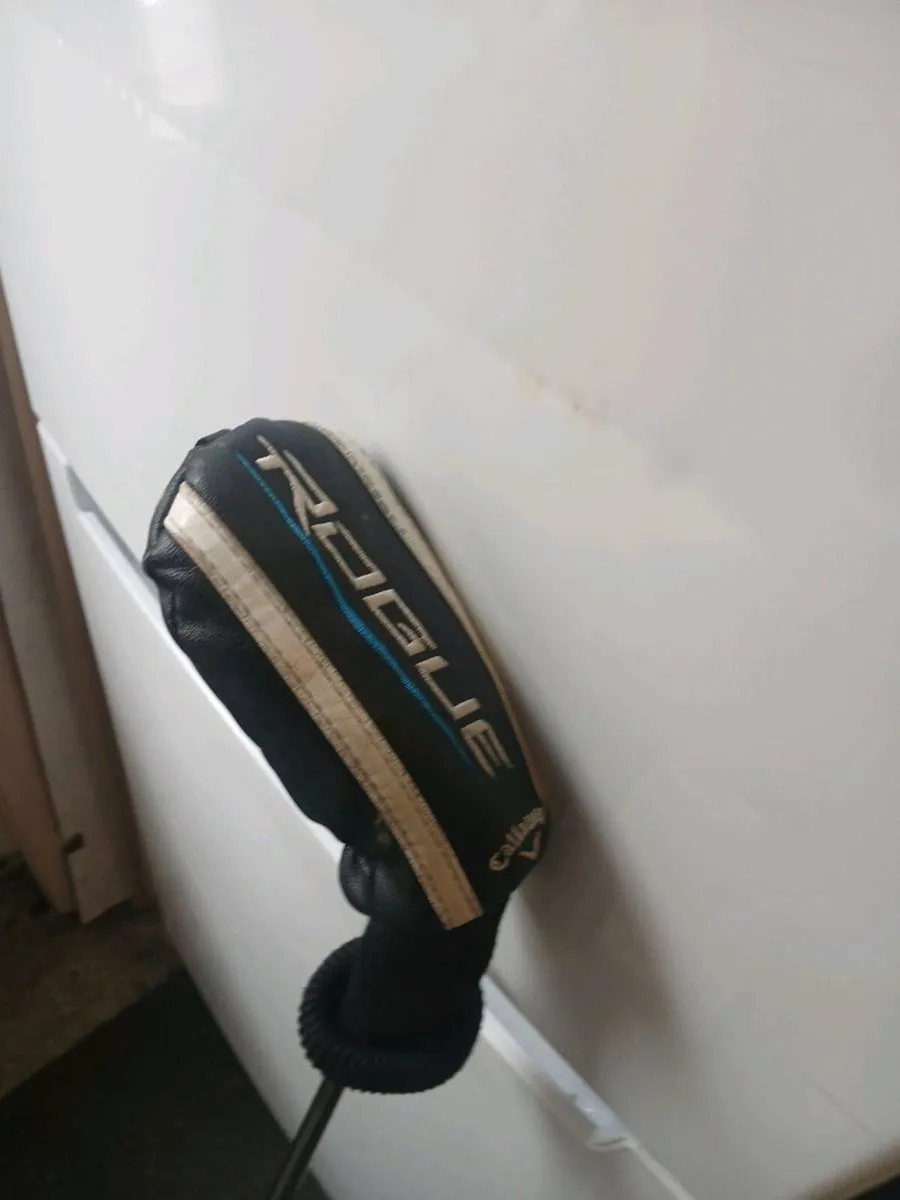 Rouge  rescue  club - Image 1