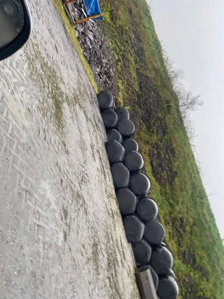 1st cut Silage Bales for Sale - Image 2