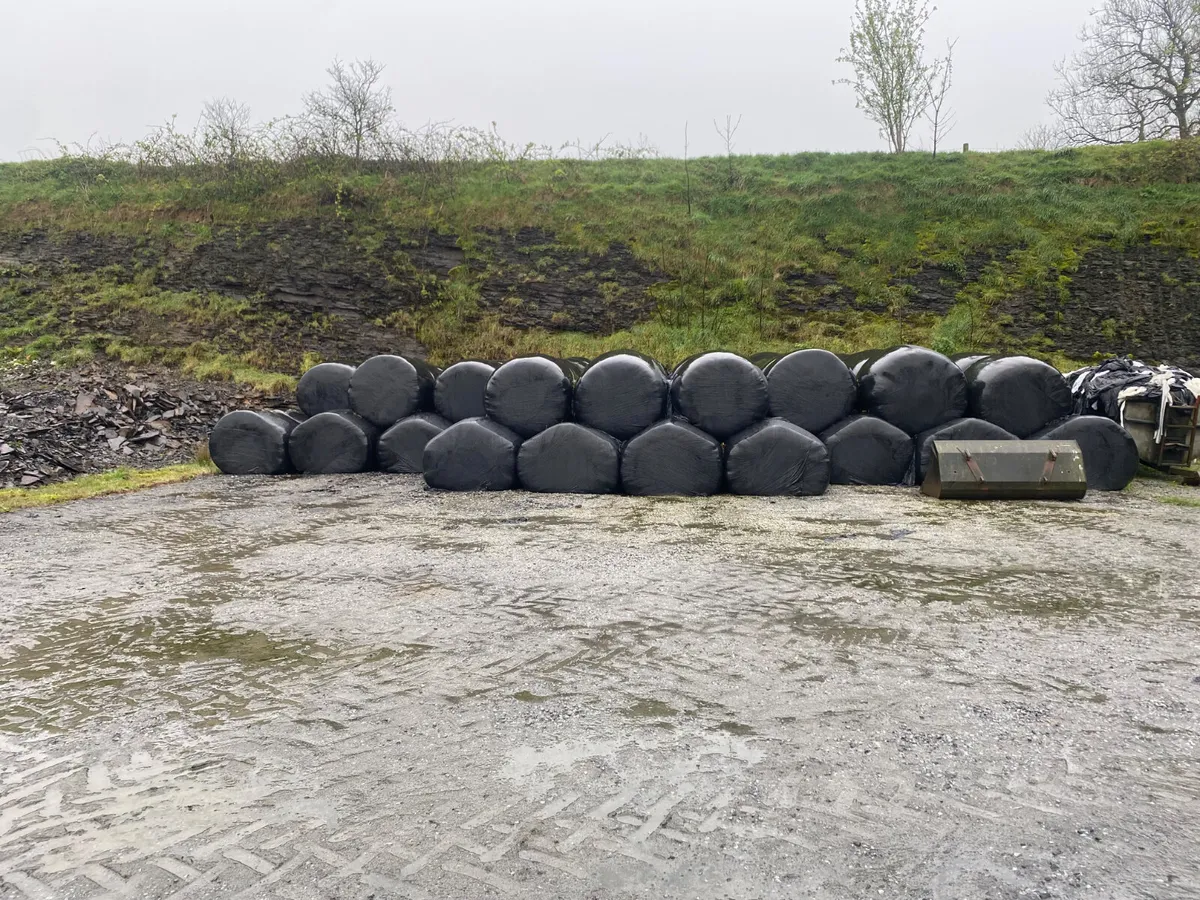 1st cut Silage Bales for Sale - Image 1