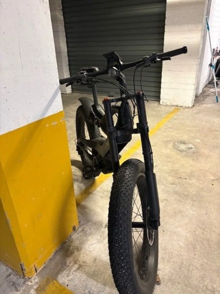 Electric Bike NIREEKA PRIME - Image 1