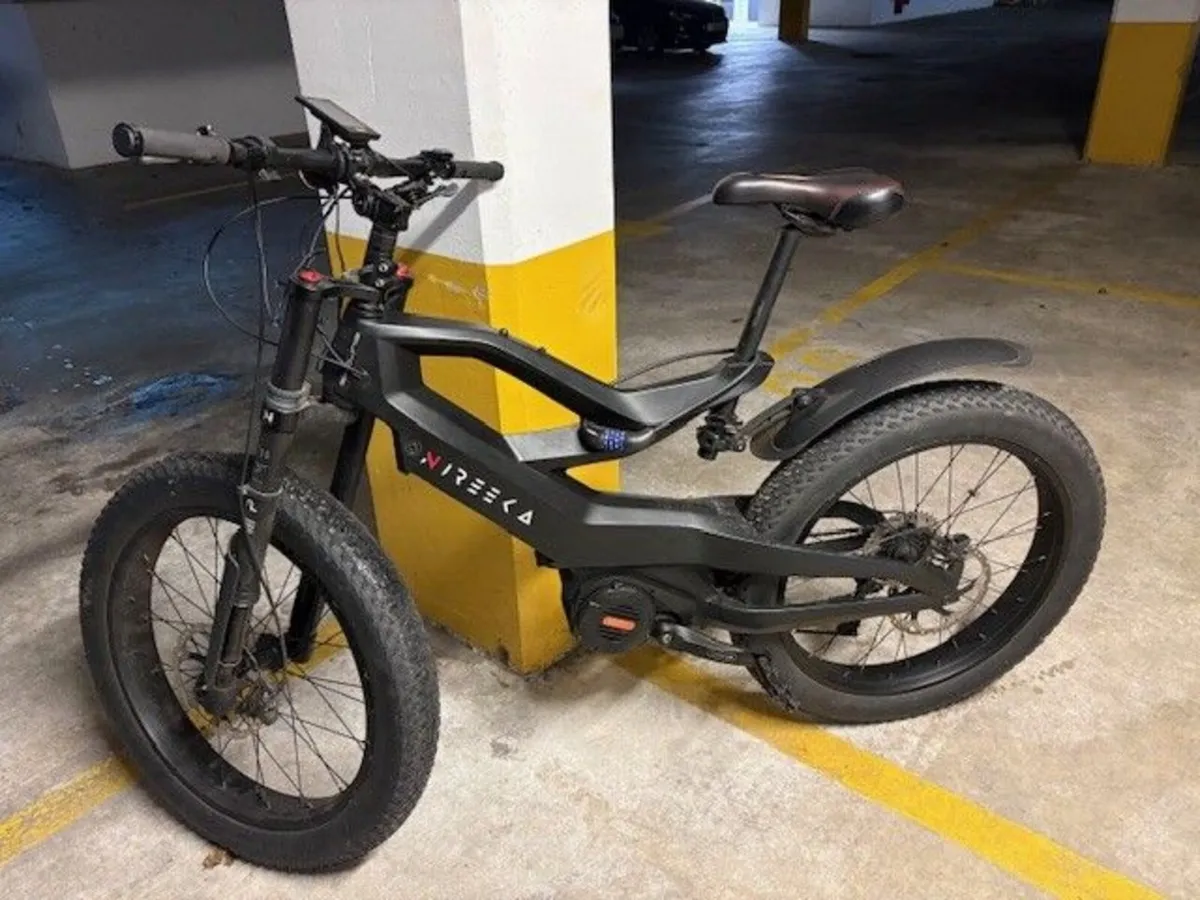 Electric Bike NIREEKA PRIME - Image 2