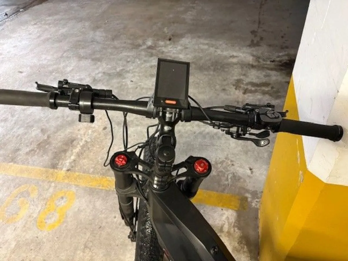 Electric Bike NIREEKA PRIME - Image 3