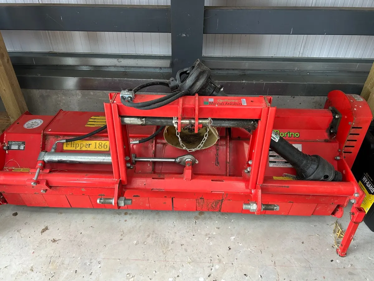 Del Morino Flipper 186 - Image 4