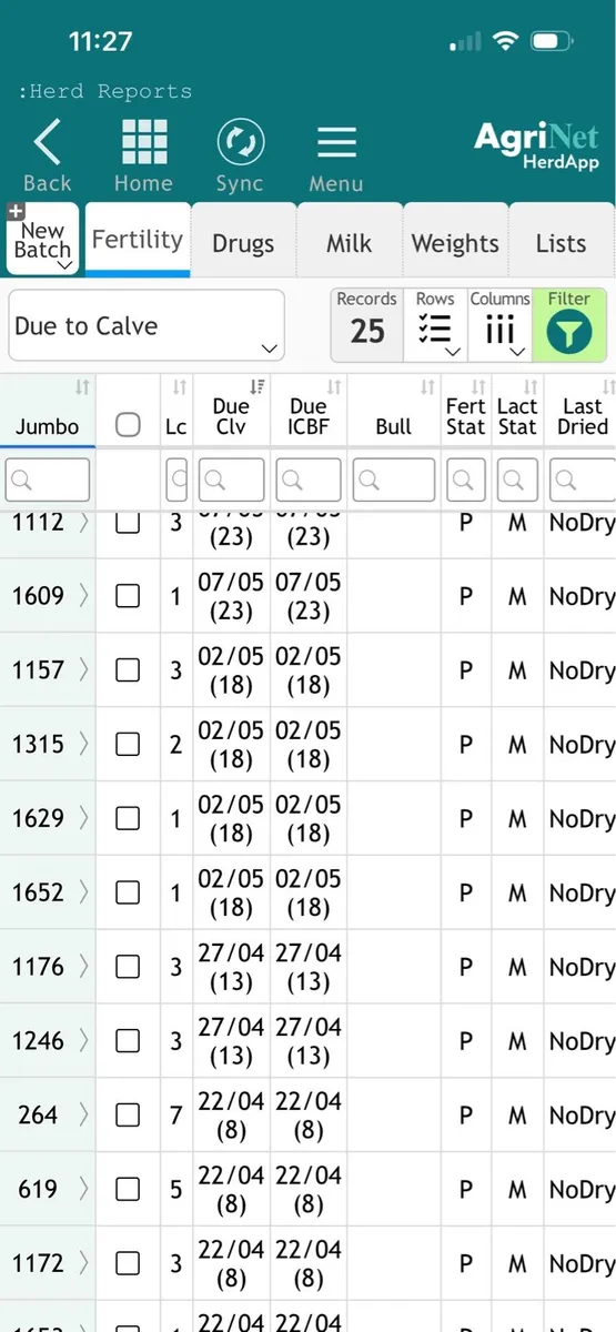 15 April / May calving cows - Image 2