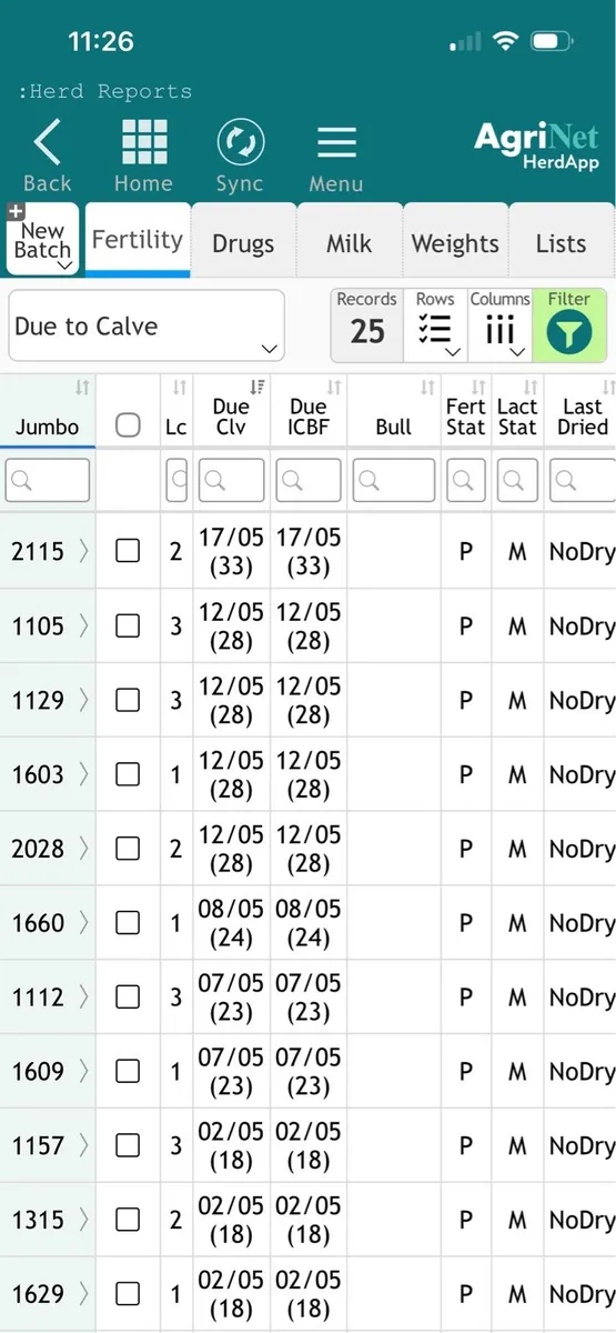 15 April / May calving cows - Image 3