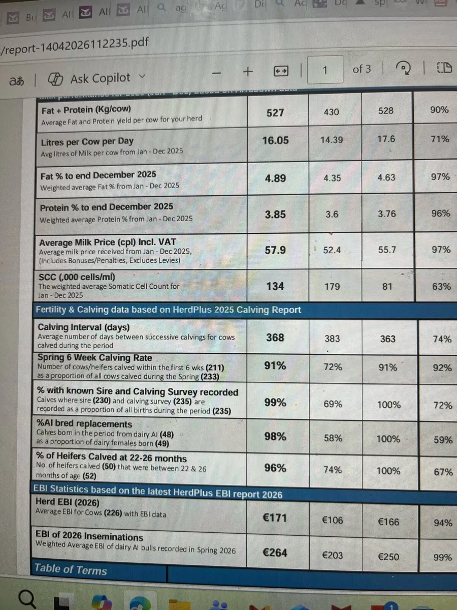 15 April / May calving cows - Image 4
