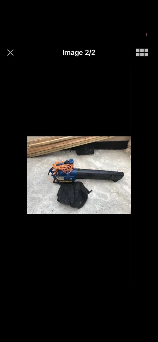 Electric Leaf blower and vacuum - Image 1