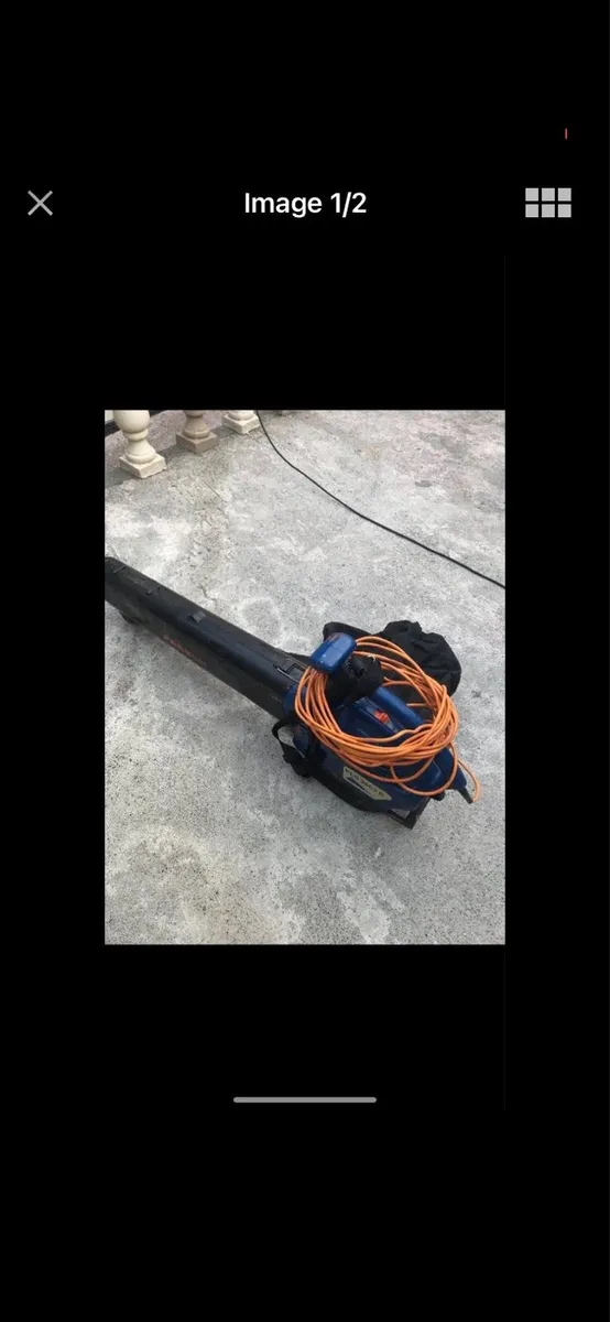 Electric Leaf blower and vacuum - Image 2